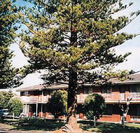 Eastern Beach Holiday Units - Tweed Heads Accommodation