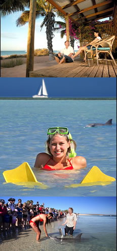 Monkey Mia Dolphin Resort - Tweed Heads Accommodation 0