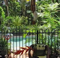 Daintree Rainforest Retreat Motel - Tweed Heads Accommodation