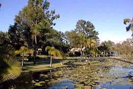Anderleigh QLD Tweed Heads Accommodation