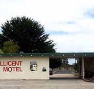 Millicent Motel - Tweed Heads Accommodation
