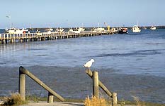 Cape Douglas SA Tweed Heads Accommodation