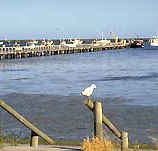 Seaview Motel and Holiday Units - Tweed Heads Accommodation