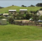 Ace Hi Riding Ranch - Tweed Heads Accommodation