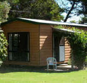 Casuarina Cabins - Tweed Heads Accommodation