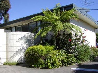 Penguin Mews - Tweed Heads Accommodation 3