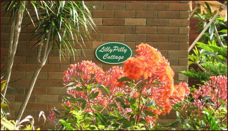 Lillypilly - Tweed Heads Accommodation 0
