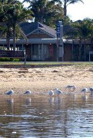 Best Western Coastal Waters Motor Inn - Tweed Heads Accommodation 2