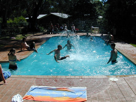 Koala Park Resort - Tweed Heads Accommodation 1