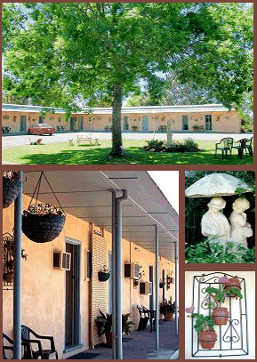 Arch Motel - Tweed Heads Accommodation 2