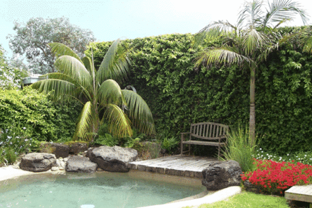 The Tropicana Motor Inn - Tweed Heads Accommodation 2