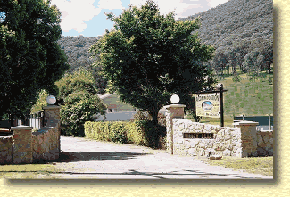Willow Dene - Tweed Heads Accommodation 1