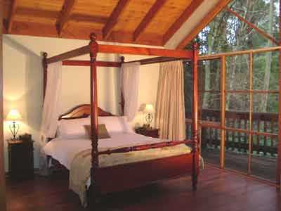 Belle Le Vie (Luxury B&B) - Tweed Heads Accommodation 2
