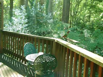Belle Le Vie (Luxury B&B) - Tweed Heads Accommodation 4