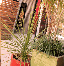 Adelphi Apartments - Tweed Heads Accommodation 1