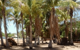 King Sound Resort Hotel - Tweed Heads Accommodation