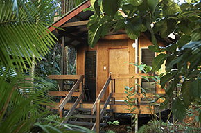 Cape Tribulation QLD Tweed Heads Accommodation