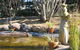 Murray Gardens Motel And Cottages - thumb 2