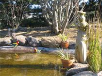 Murray Gardens Motel And Cottages - Tweed Heads Accommodation 2