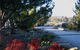 Murray Gardens Motel And Cottages - thumb 3