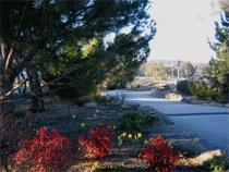 Murray Gardens Motel And Cottages - Tweed Heads Accommodation 3