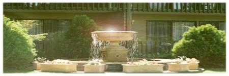 Best Western Tall Trees Motel - Tweed Heads Accommodation 2