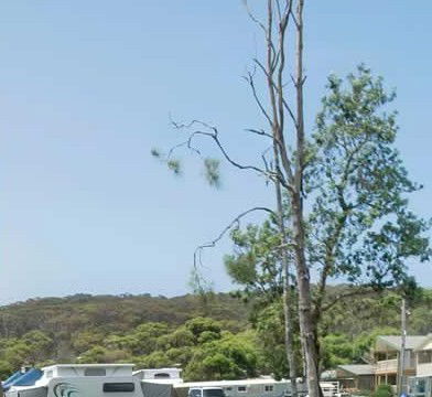 Merry Beach Caravan Park - Tweed Heads Accommodation 2