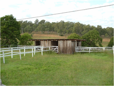 Jacaranda Motor Lodge - Tweed Heads Accommodation 1