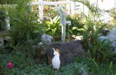 Kingfisher Motel - Tweed Heads Accommodation 3