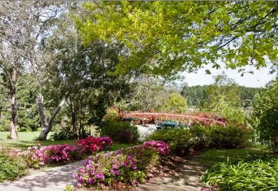 Bilpin Resort - Tweed Heads Accommodation 2