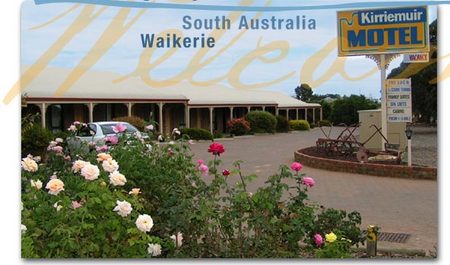 Kirriemuir Motel And Cabins - Tweed Heads Accommodation 3