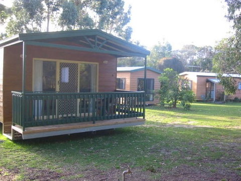 Casuarina Cabins - Tweed Heads Accommodation 1