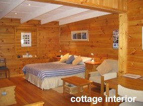 Anglesea Rivergums - Tweed Heads Accommodation 0