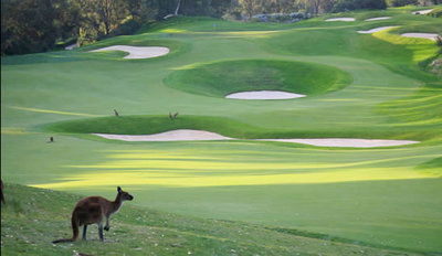 Joondalup Resort - Tweed Heads Accommodation 9