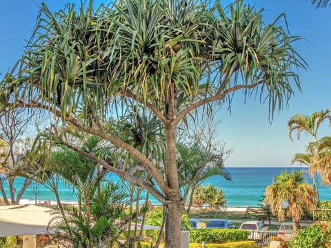 AA Oceana On Broadbeach - Tweed Heads Accommodation 17
