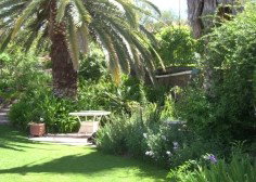 Nthaba Cottage - Tweed Heads Accommodation 0