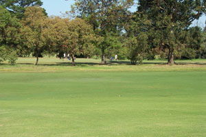 Beach Motor Inn - Tweed Heads Accommodation 7