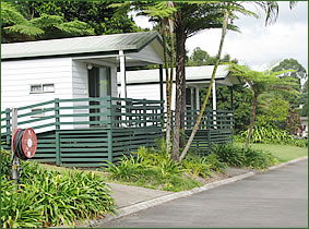 Palmwoods Caravan Park - Tweed Heads Accommodation 1