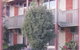 Coal Valley Motor Inn - thumb 0