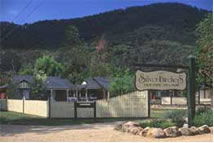 The Silver Birches Holiday Village - Tweed Heads Accommodation 0