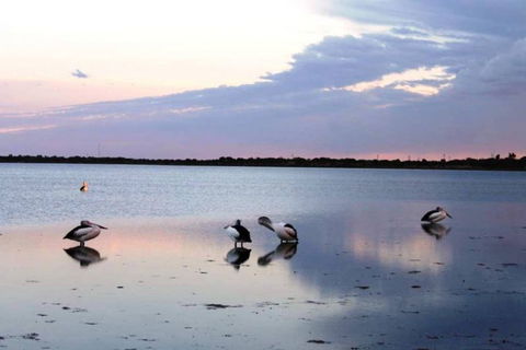 Coobowie Lodge - Tweed Heads Accommodation 3
