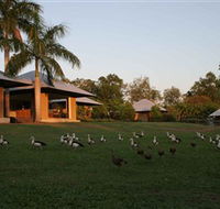 Feathers Sanctuary - Tweed Heads Accommodation