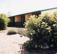 The Fig Tree Bed  Breakfast - Tweed Heads Accommodation