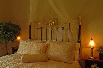 Citrus Cottage - Tweed Heads Accommodation 2