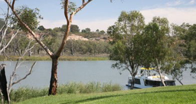 Toolunka Estate Cottage - Tweed Heads Accommodation 4