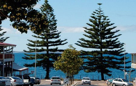 Port Lincoln Holiday Apartments - Tweed Heads Accommodation 5