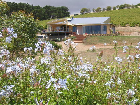 The Blue Grape Vineyard Accommodation - Tweed Heads Accommodation 0