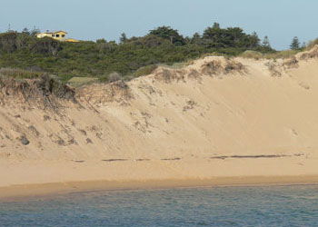 Ark Bed And Breakfast - Tweed Heads Accommodation 1