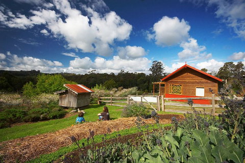 Elvenhome Farm Cottage - Tweed Heads Accommodation 6