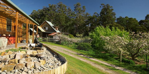 Elvenhome Farm Cottage - Tweed Heads Accommodation 7